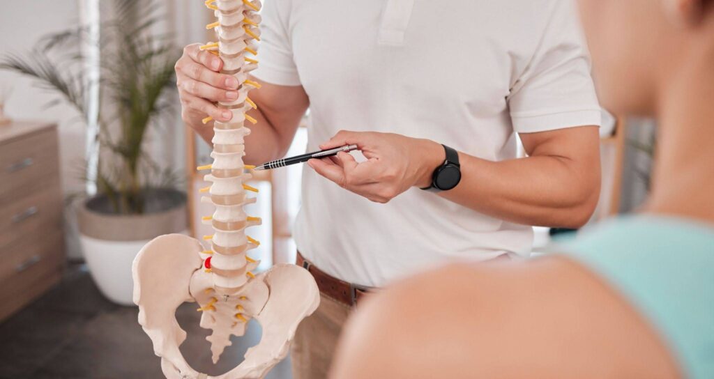 Chiropractor pointing to a model of a human spine and pelvis while explaining it to a patient.