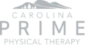 Carolina-Prime-Logo-all-gray
