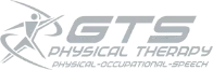 GTS-Symbol-gray
