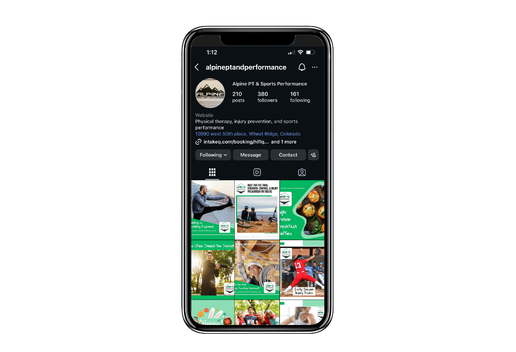 Alpine PT instagram mockup